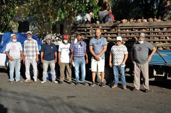 productores de platanos