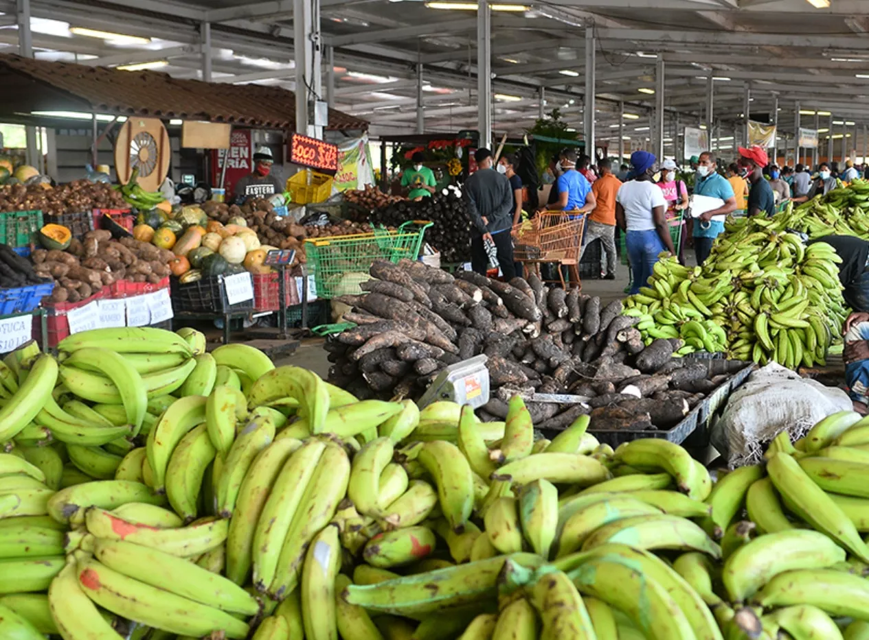 productos, canasta, El Día
