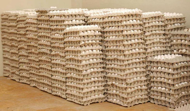 huevos