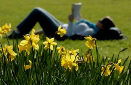 leer_primavera-w445