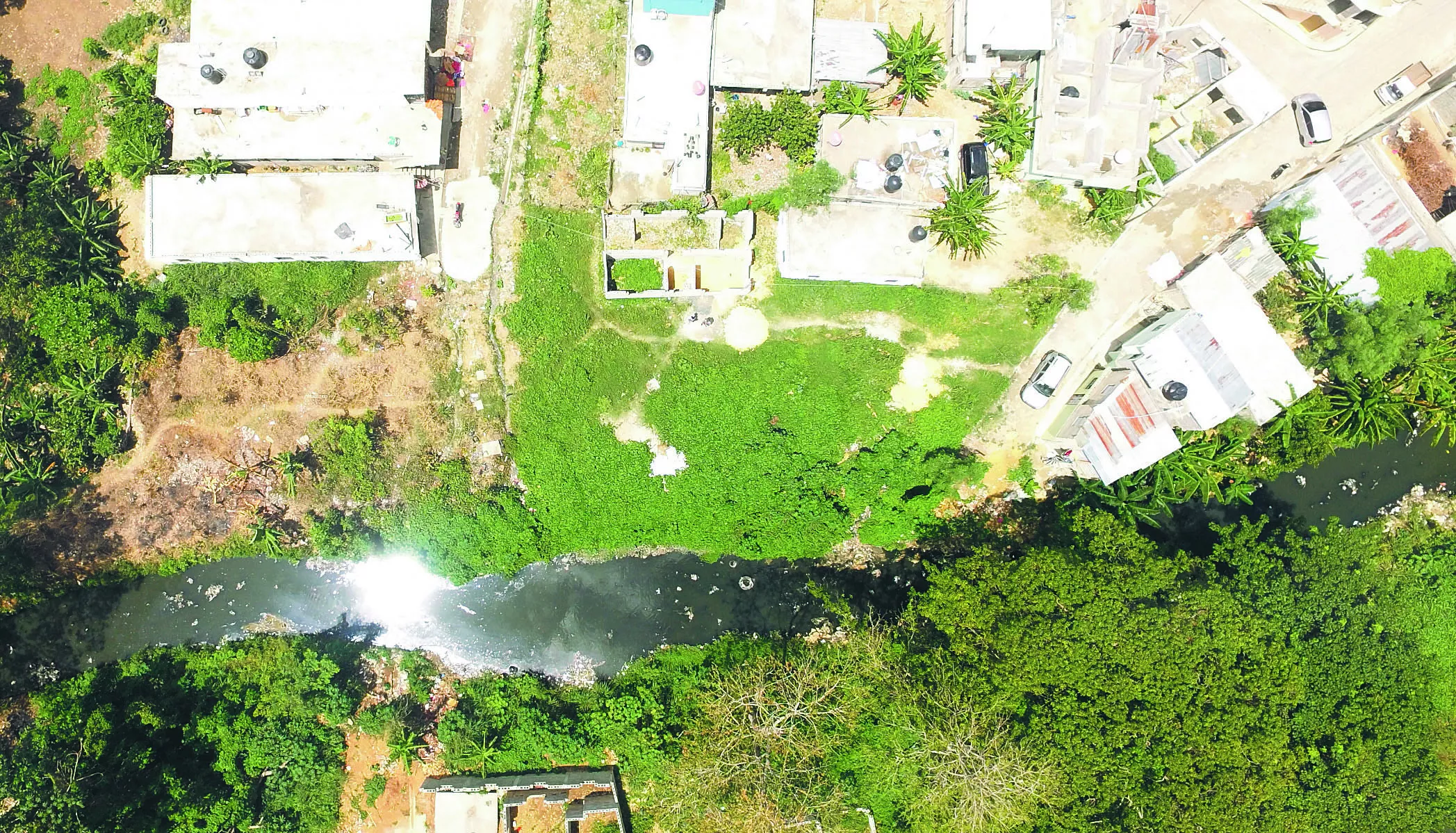 humedales