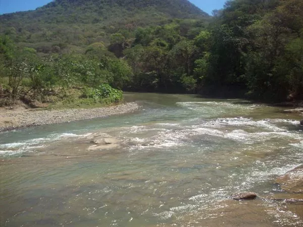Artibonito