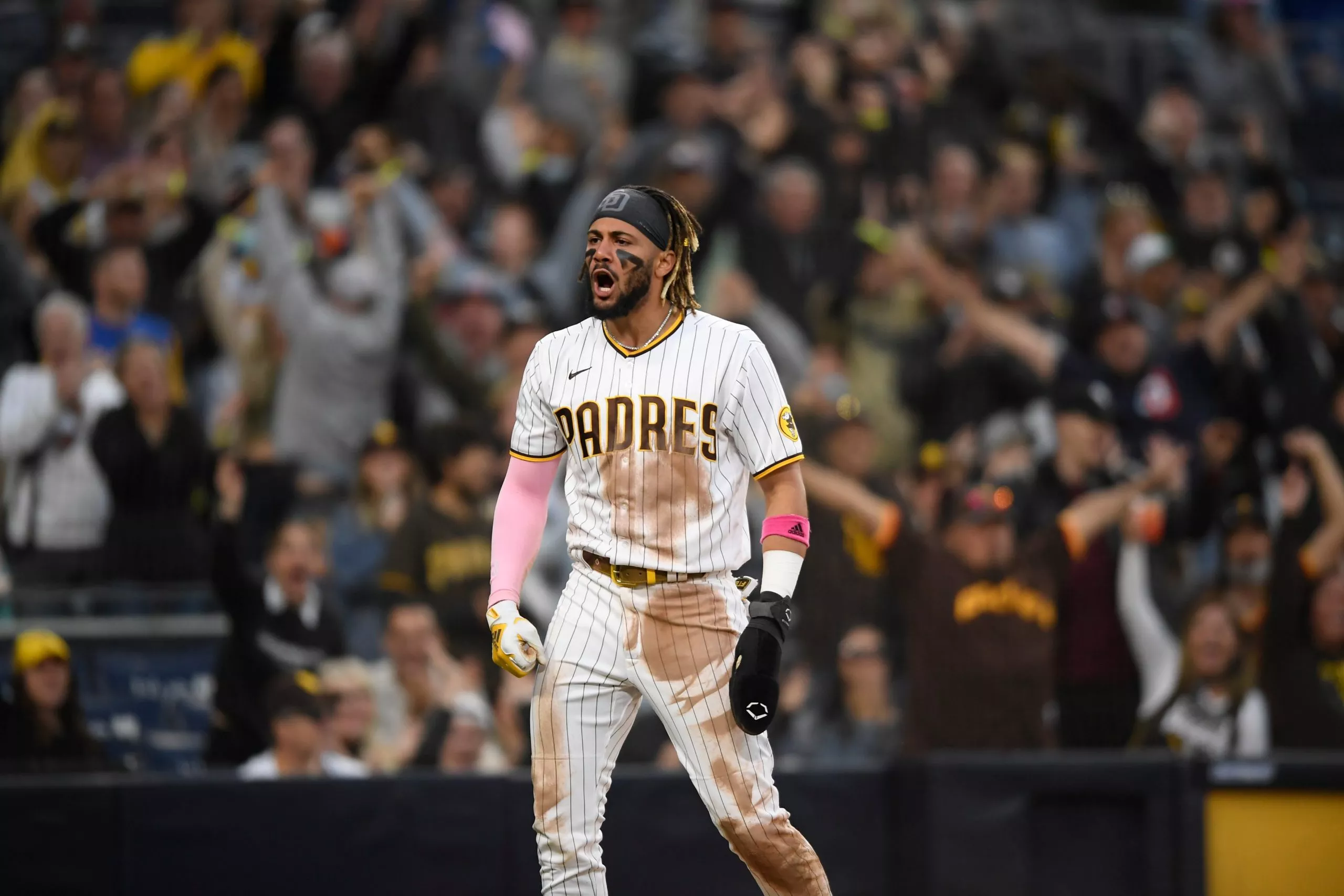 Fernando Tatis Jr.
