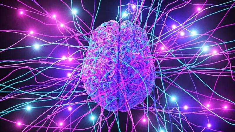 Cerebro