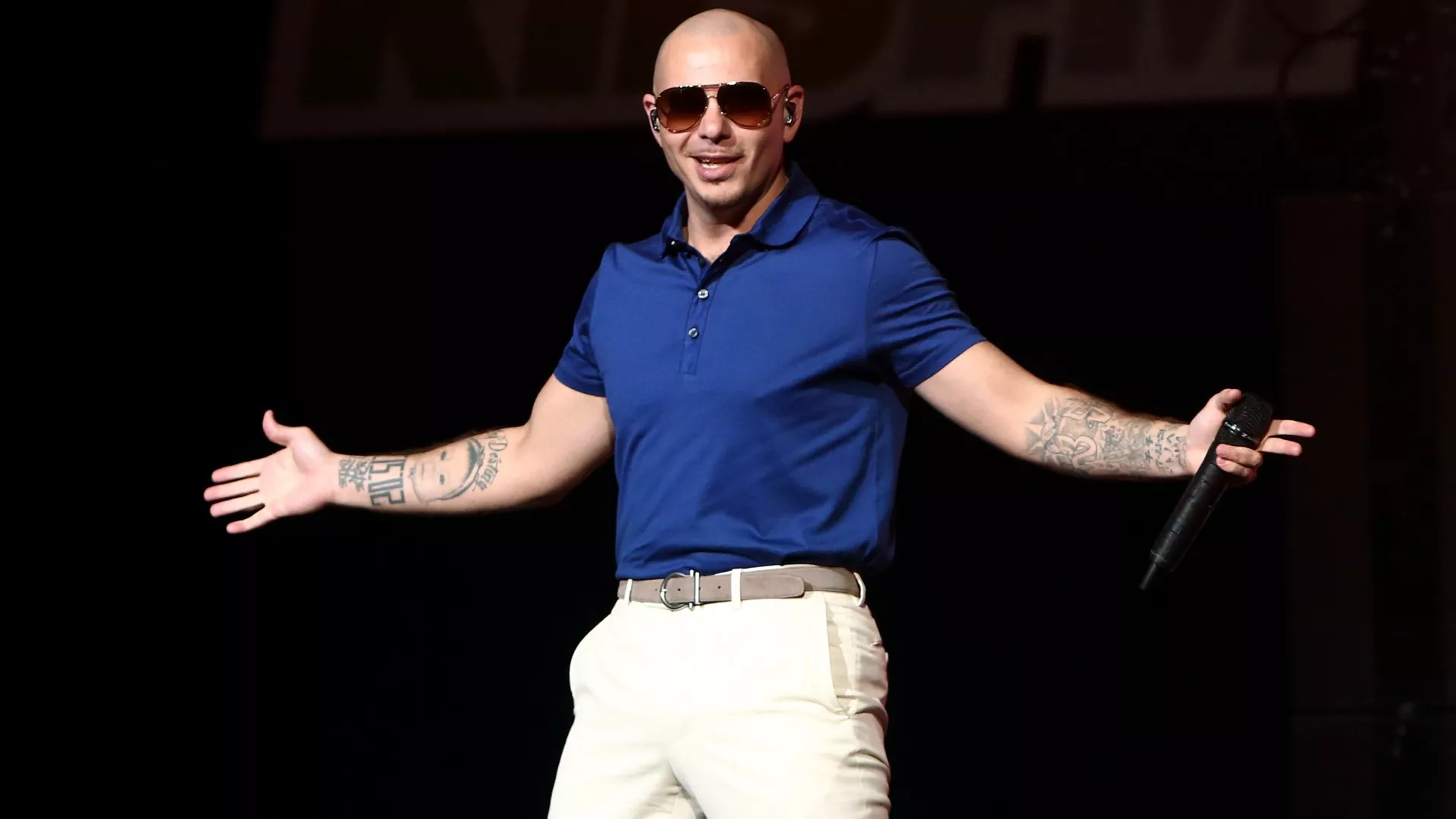 pitbull