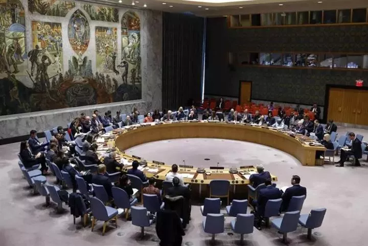 Consejo de Seguridad de la ONU