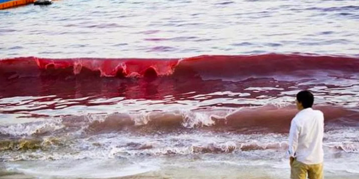 marea-roja-Miami