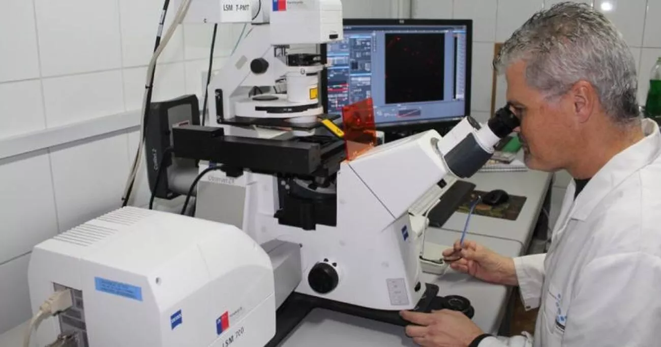 tratamiento contra el alzhéimer con nanopartículas de oro-Chile