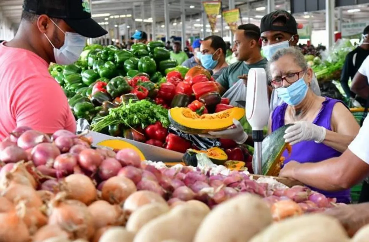 alimentos