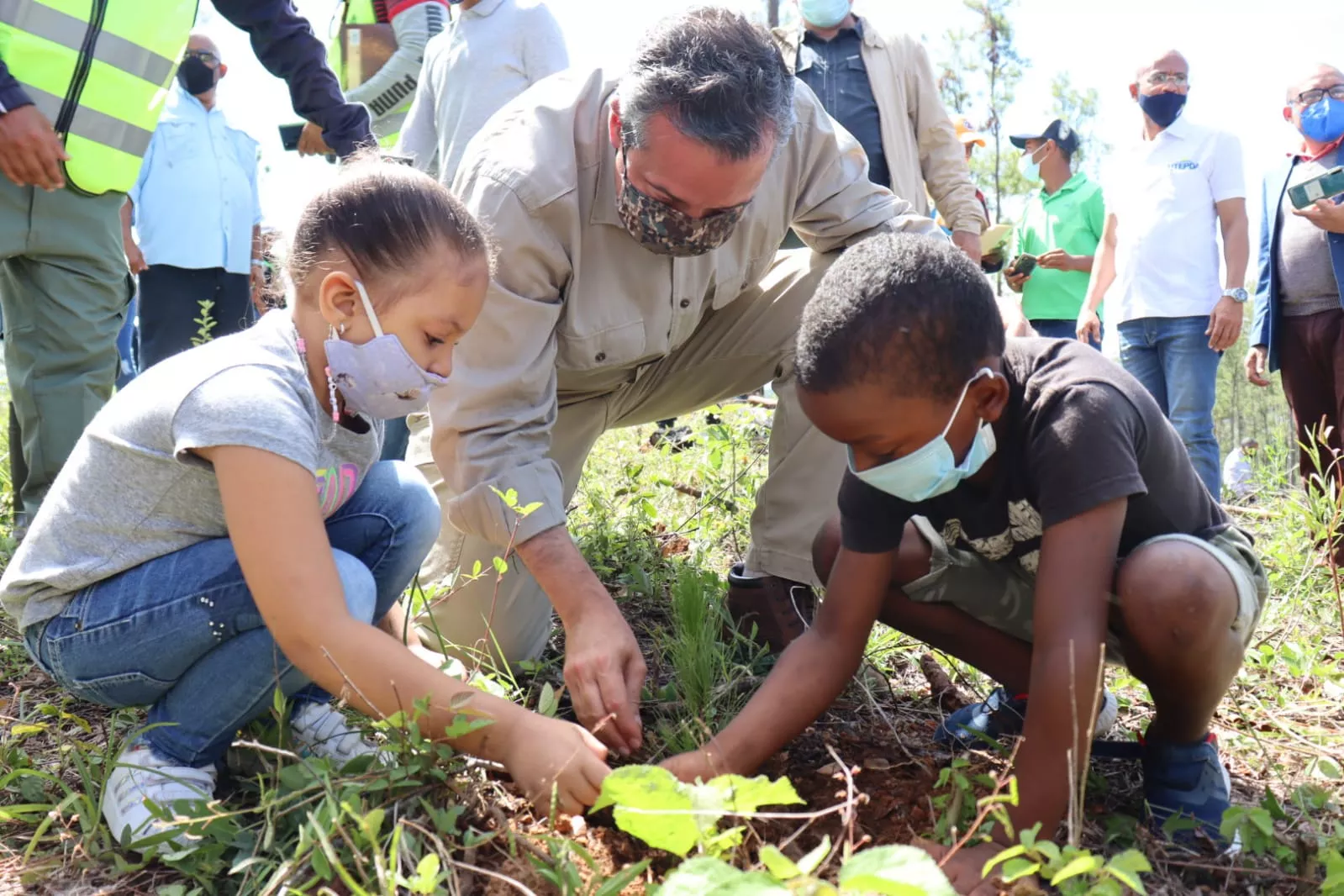Medio Ambiente, reforestación
