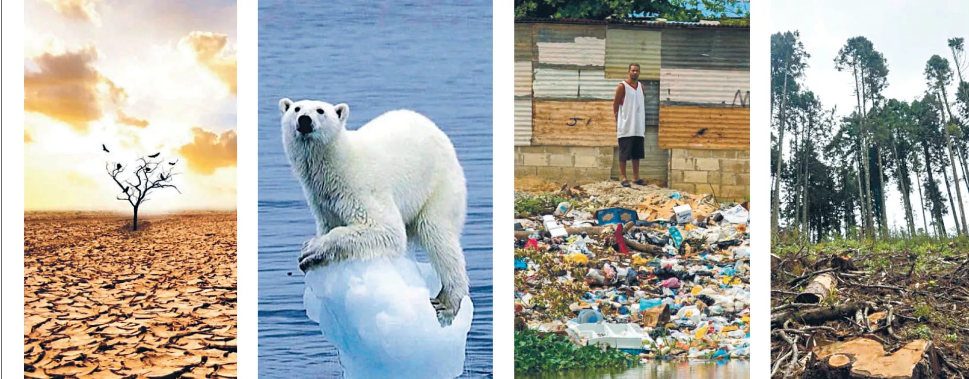 COP26