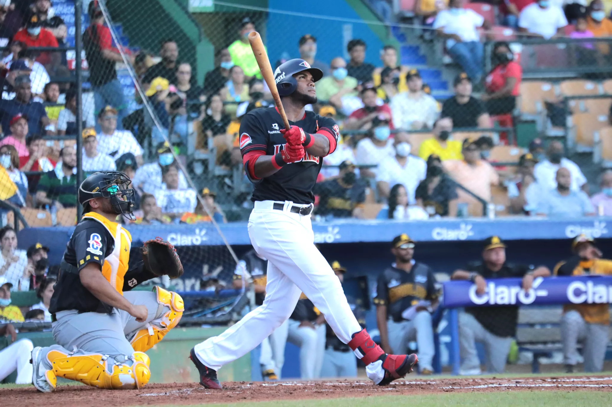 Franchy Cordero_6
