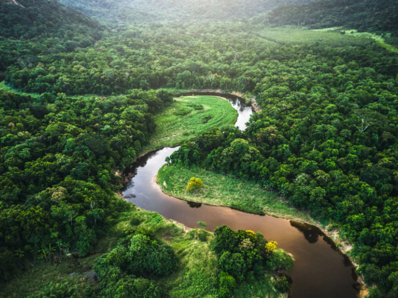La Amazonía