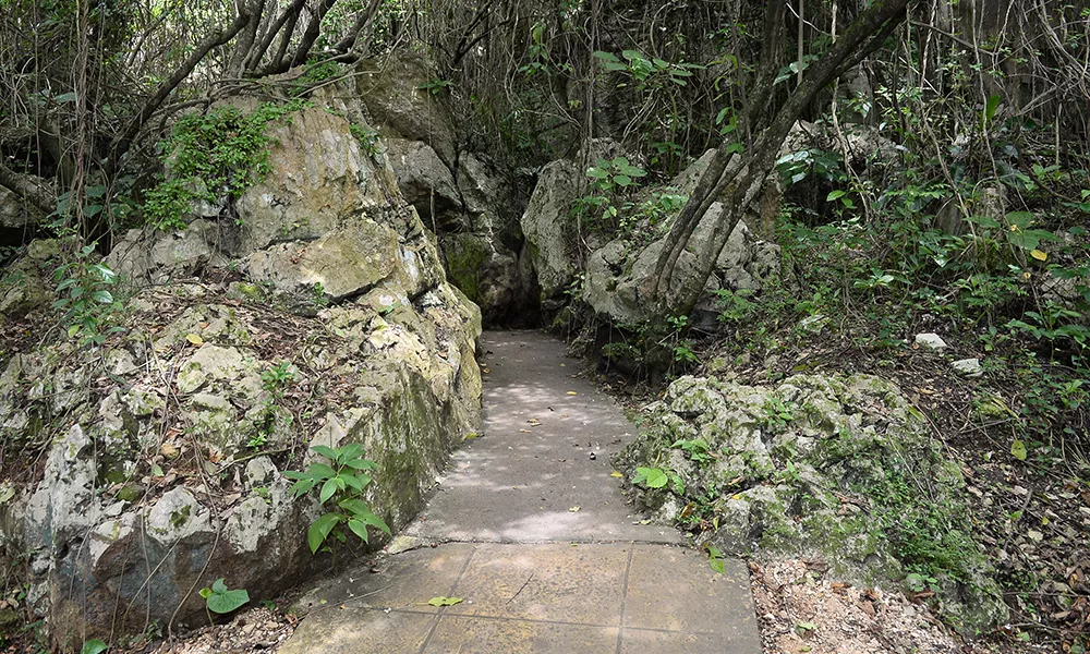 Cuevas del Pomier
