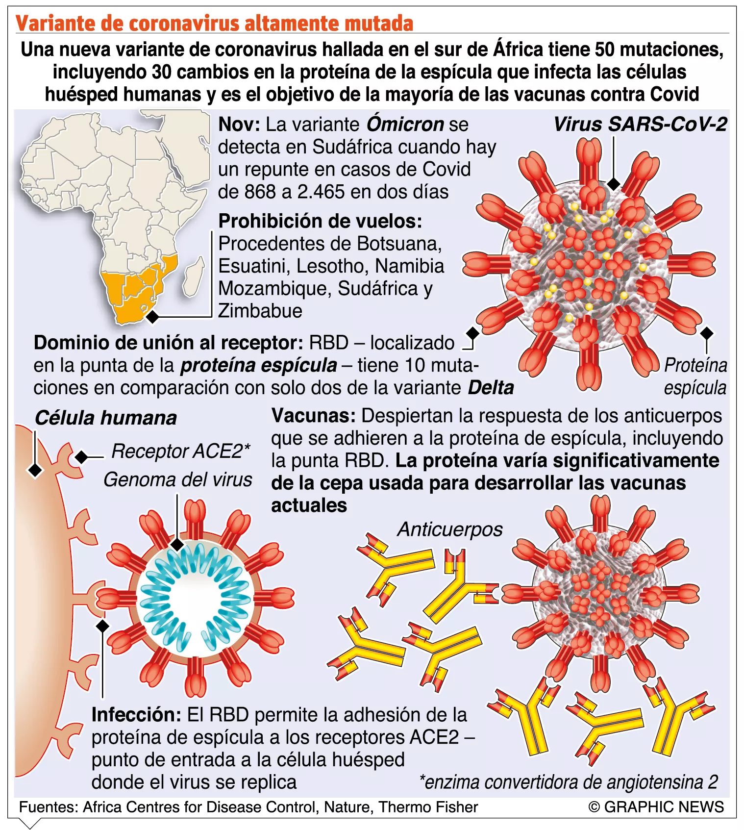 info-VARIANTE YAMER