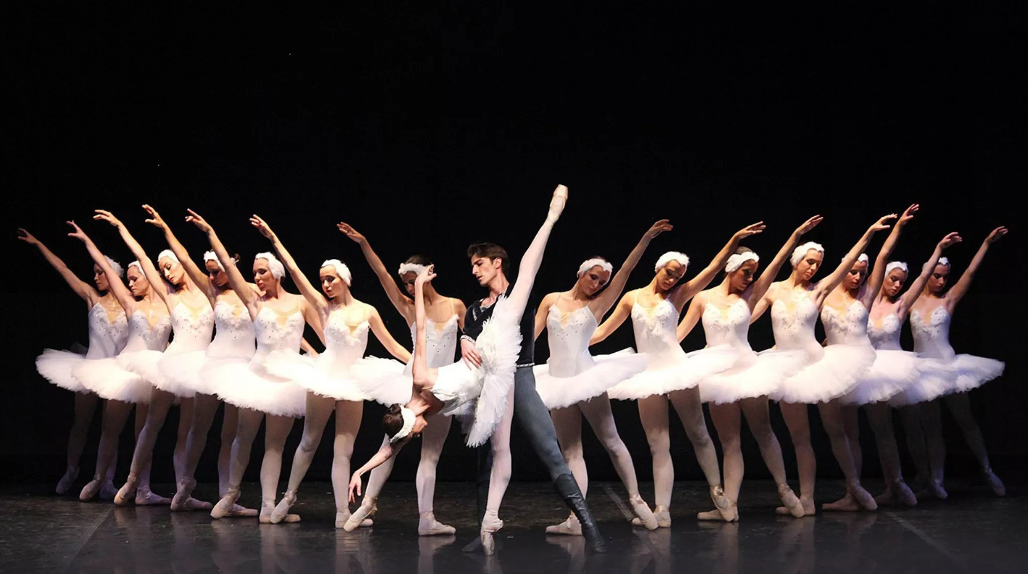 bailar