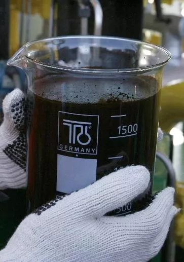 Brazil Oil Bonanza