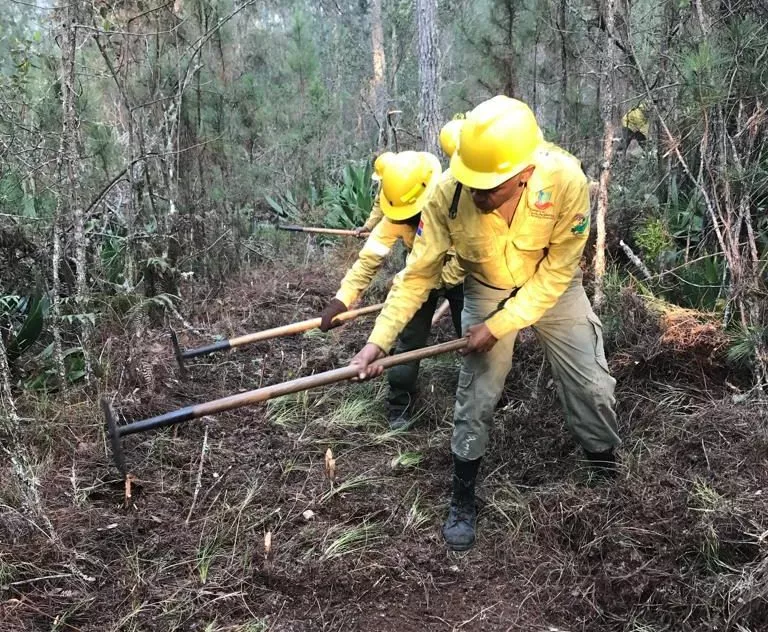 Bomberos forestales trabajando en Sierra de Bahoruco