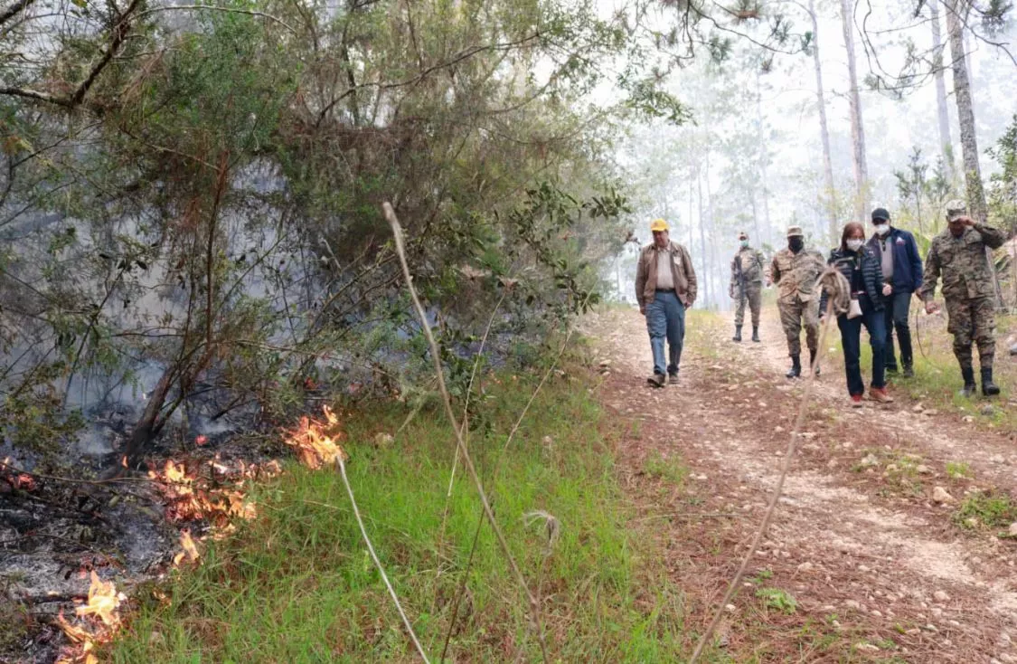 Ministro Orlando Jorge Mera supervisando trabajos de mitigación de incendio