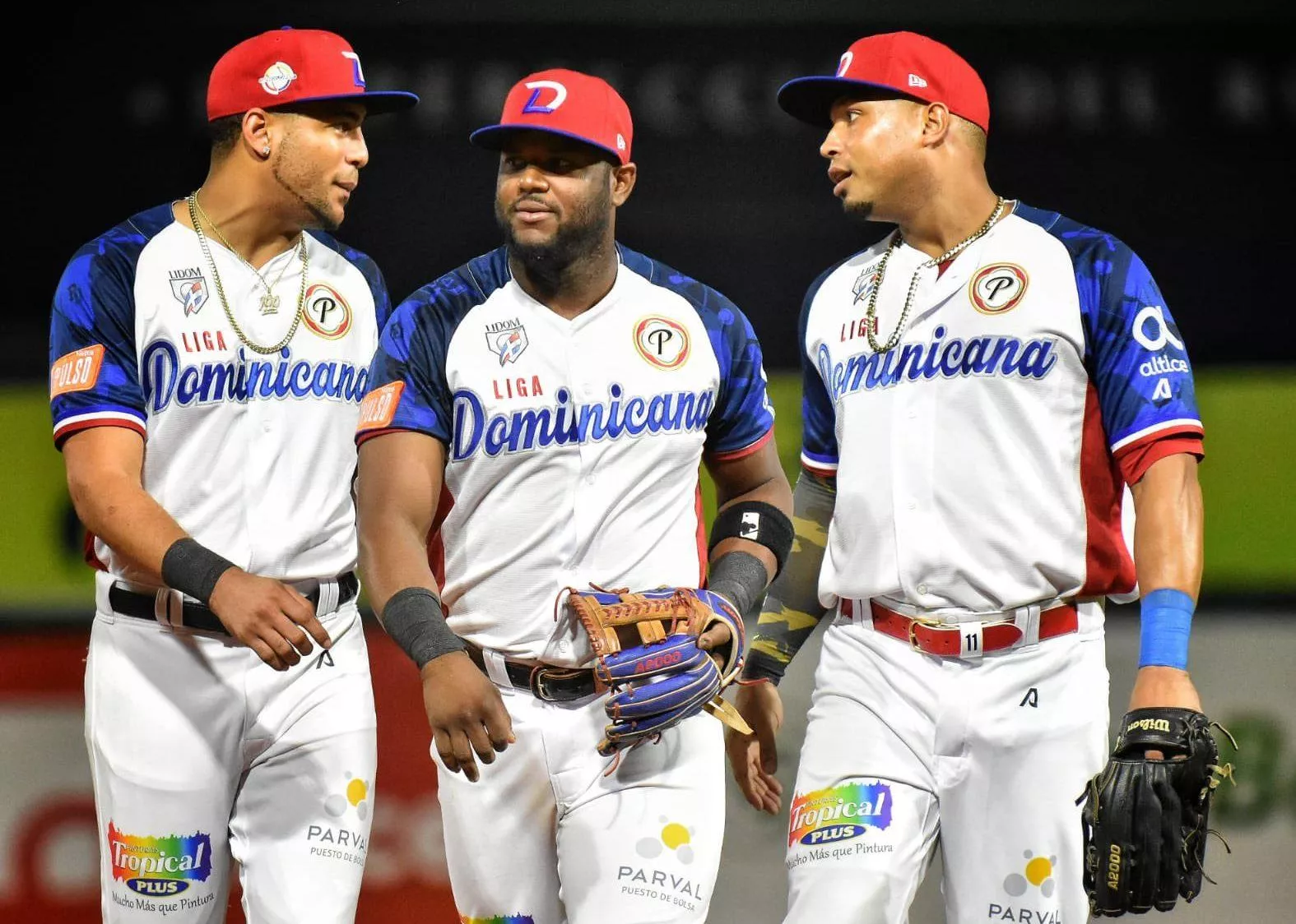 Gigantes del Cibao de la República Dominicana