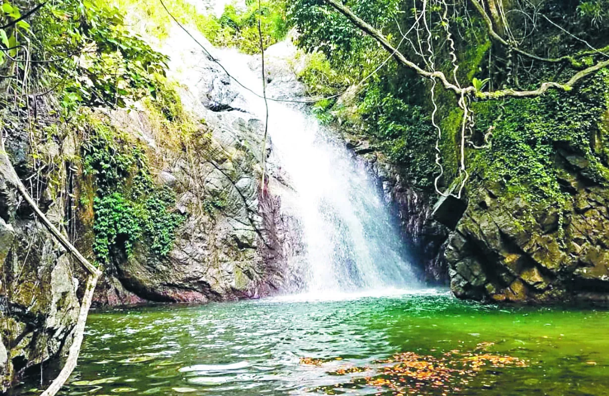 En el recorrido también se puede   visitar el sendero El Capataz, en Los Cacaos.