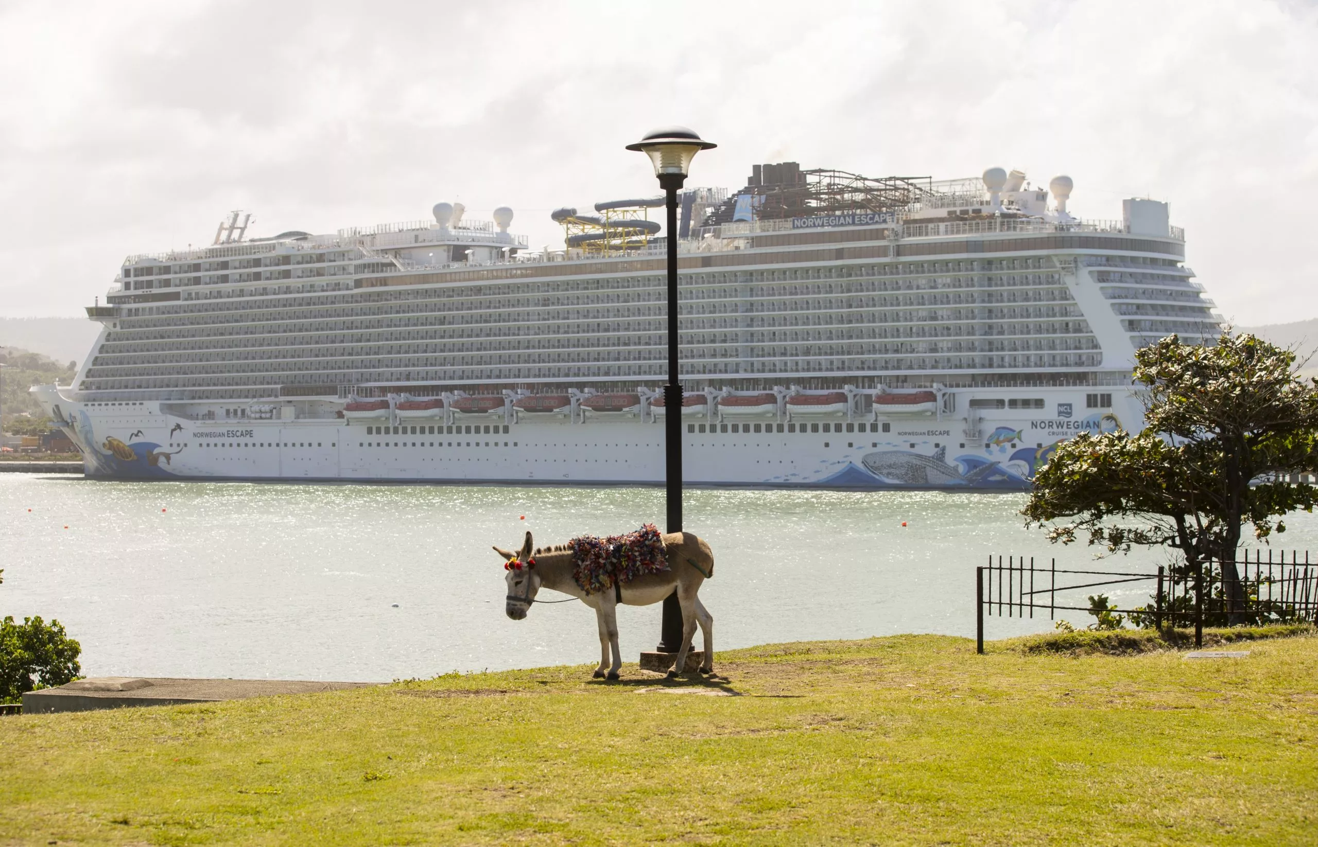 Crucero Norwegian Escape retorna al puerto de Taíno Bay tras encallar