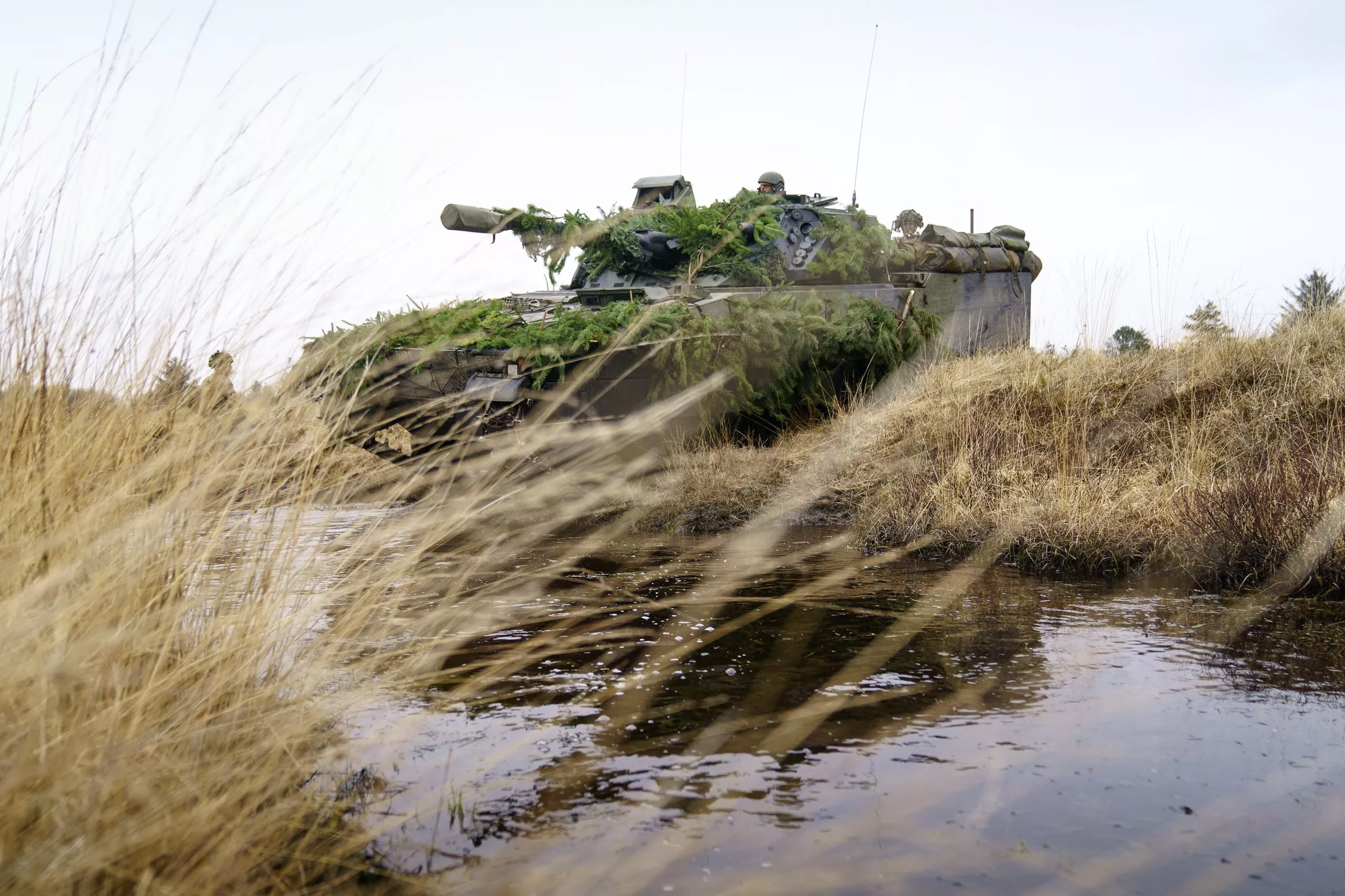 Denmark Armed Forces' battalion training in Oksboel
