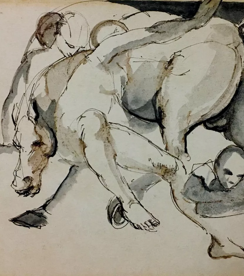 Museo del Dibujo