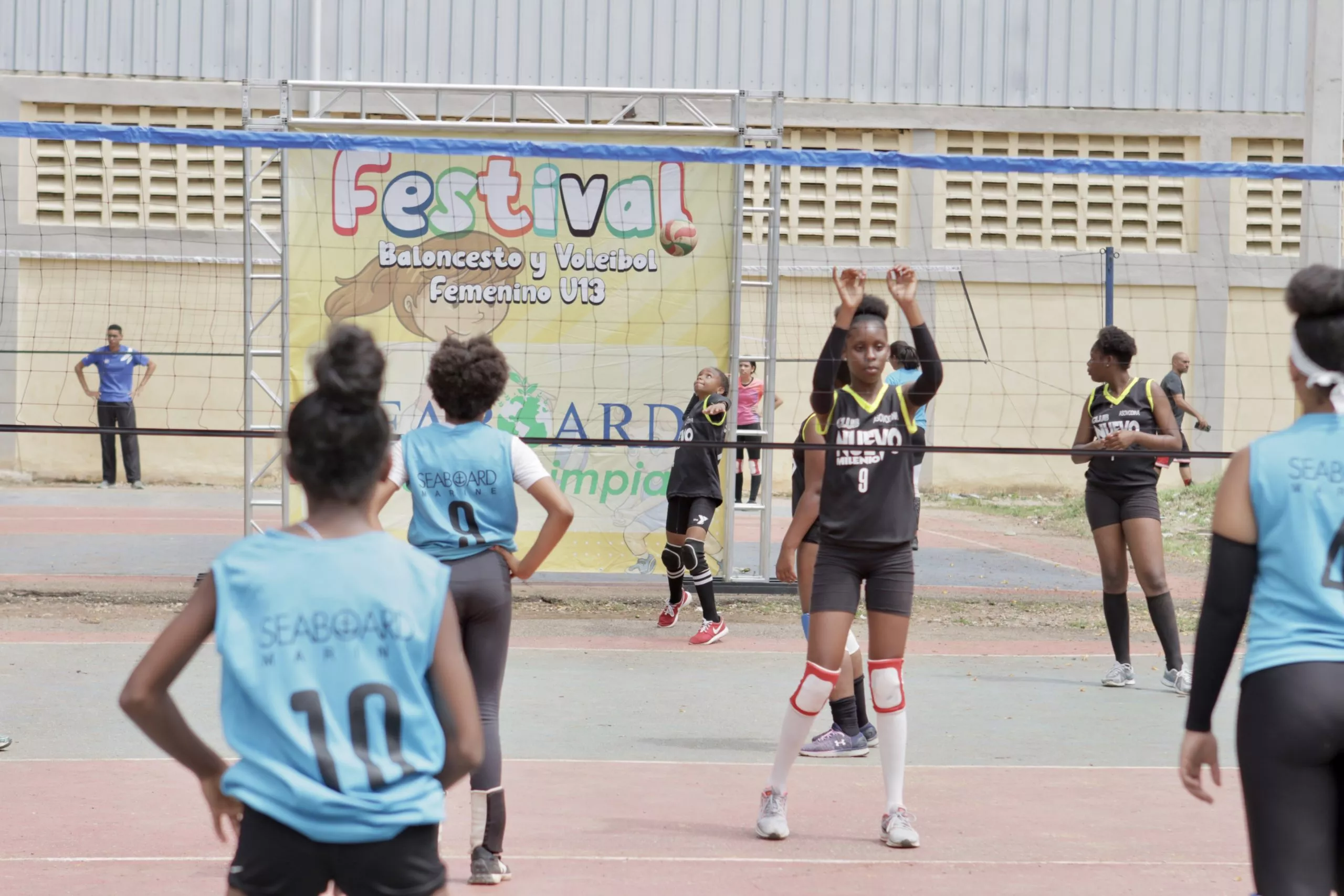 voleibol