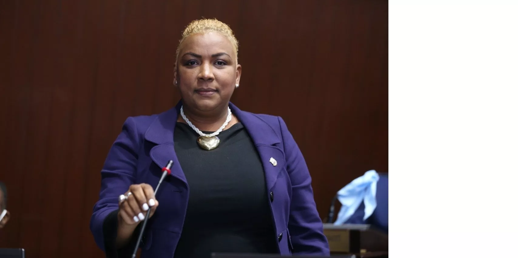 diputada Aida López