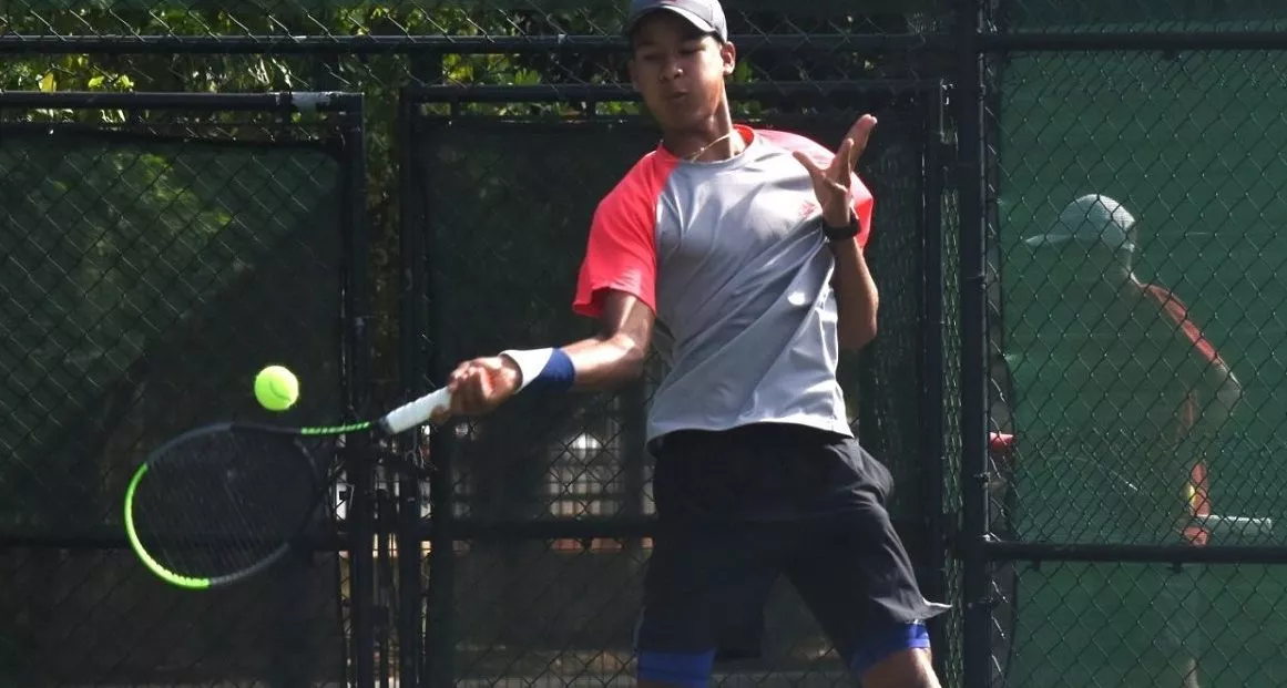 tenis