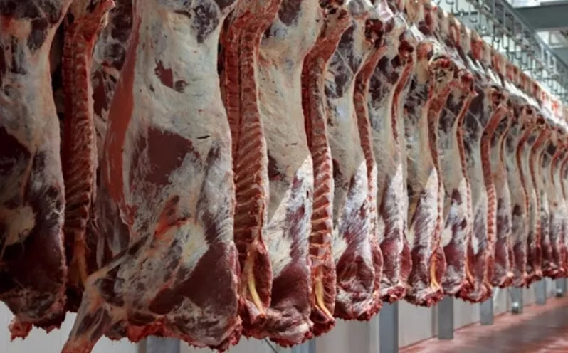 La  producción de carne se verá elevada con exportación.