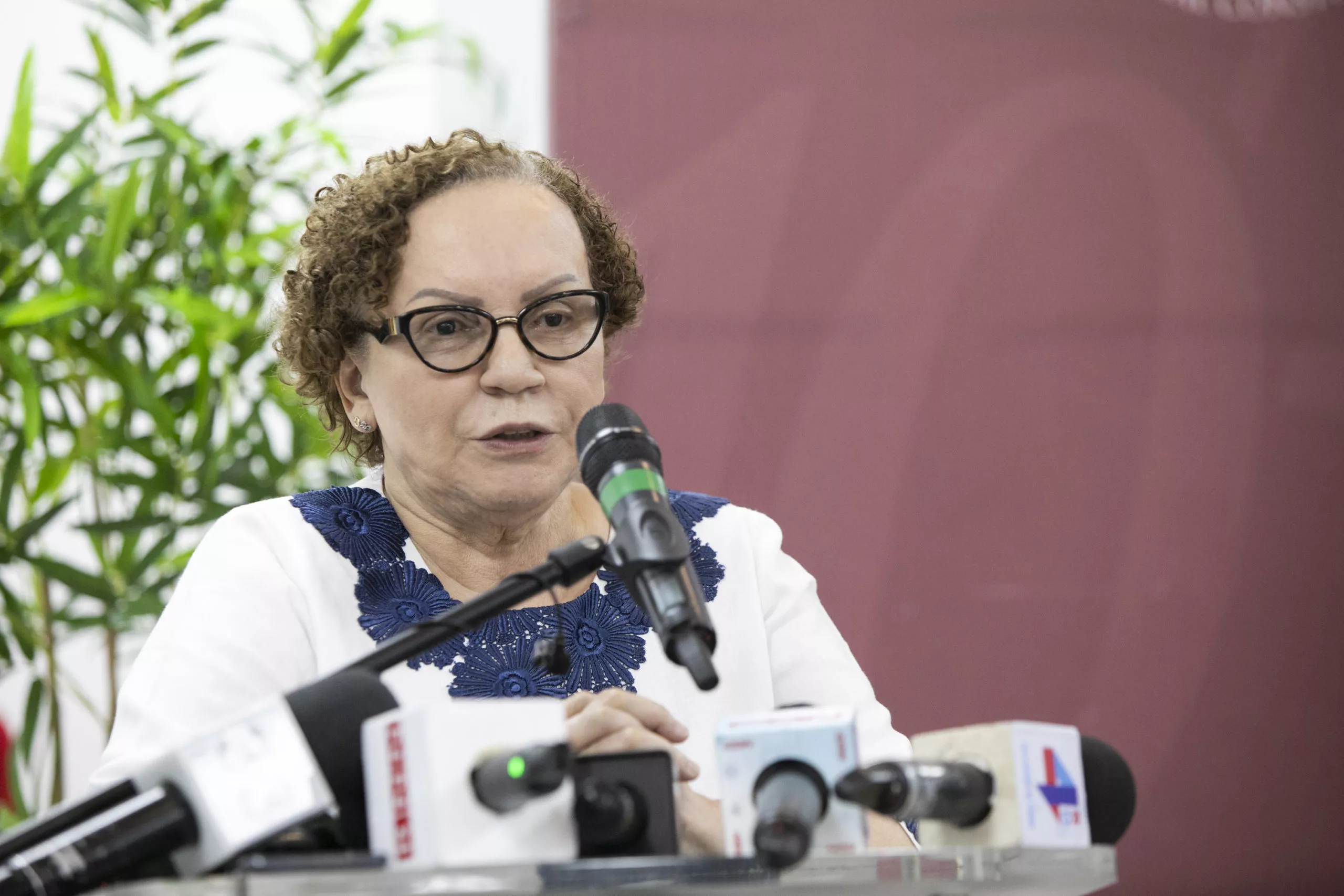 Procuradora Miriam Germán Brito