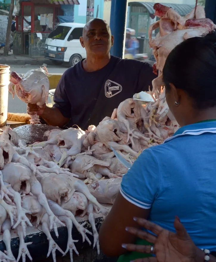 Pollos. Jorge Gonzalez