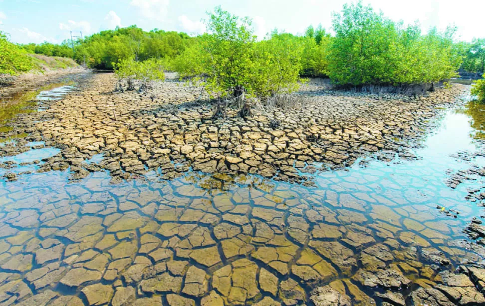 La pérdida o reducción de  productividad que genera la variación del clima en los suelos, incide en todas las áreas de la  vida.