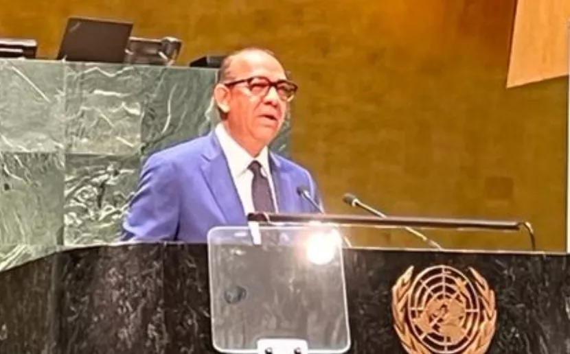 Deligne Ascención dice en ONU  meta es reducir 50 % muertes.