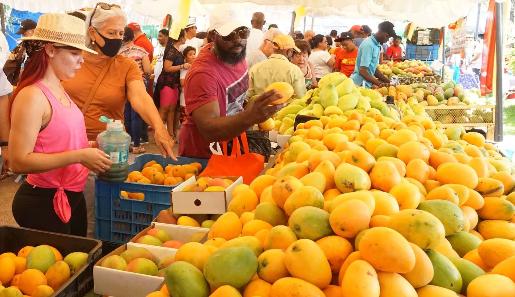 El atractivo del mango en su caja era notable, pero en ningún lugar se igualaba al de las casetas oficiales.  ELIESER TAPIA