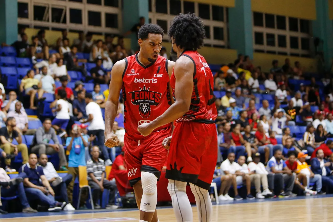 Leones de Santo Domingo