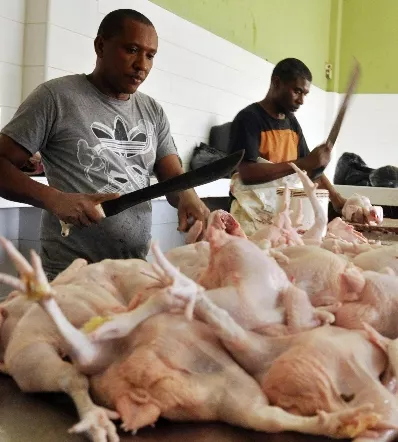 El país  consume 600, 000 unidades de pollo mensuales.