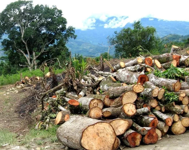 Prohibición será vigente hasta que realicen evaluaciones.