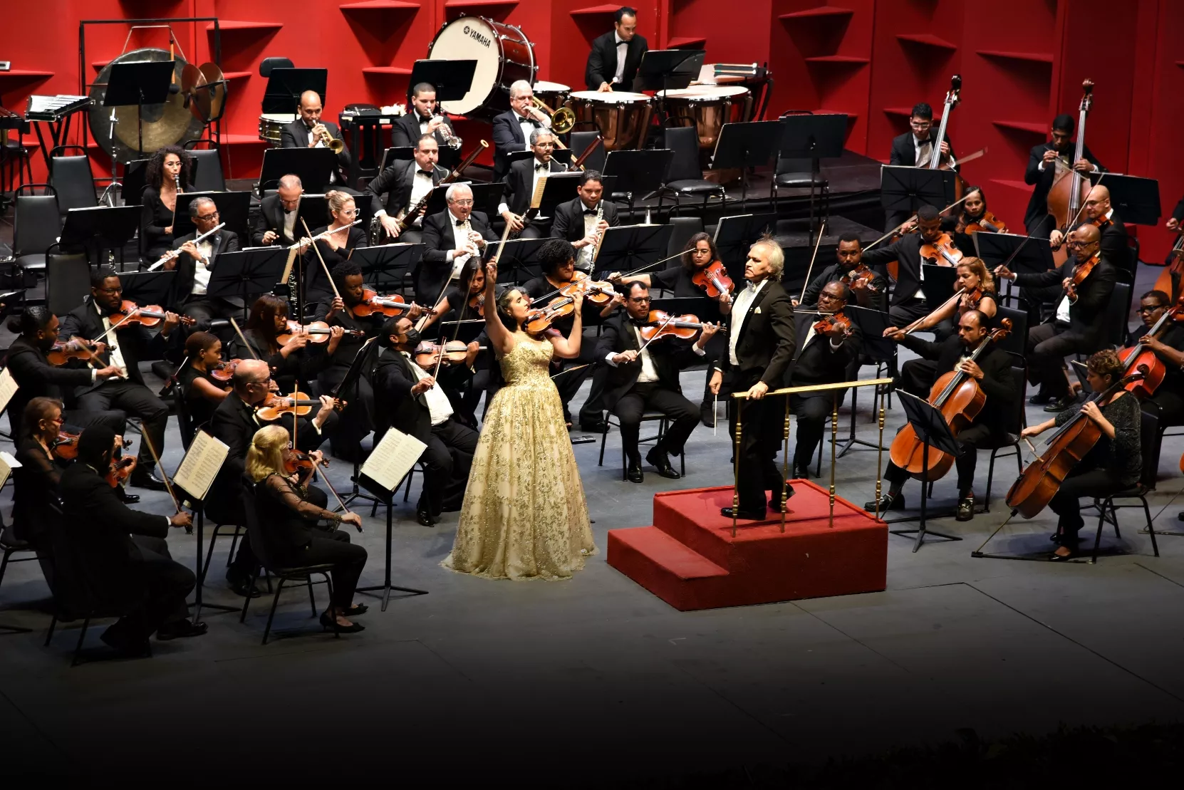 Violín