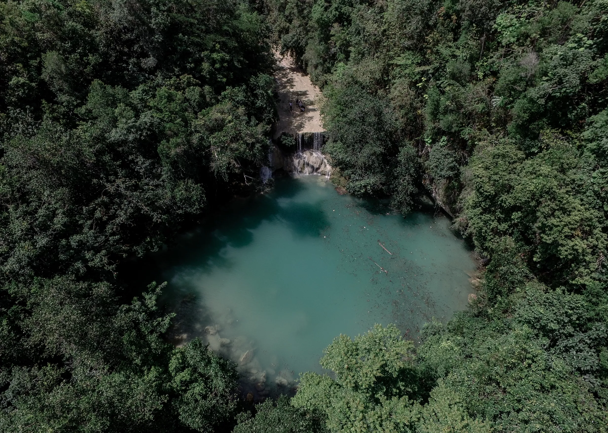 Una espesa vegetación sirve de muralla a uno de los lugares  de belleza mejor guardada de la provincia de Monte Plata, el Salto del Doce.  ELIESER TAPIA