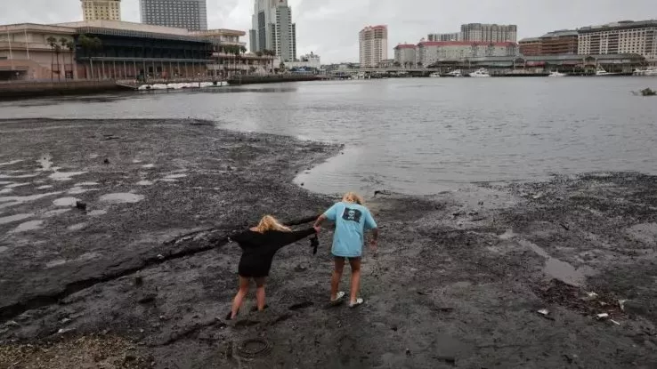 Bahía de Tampa