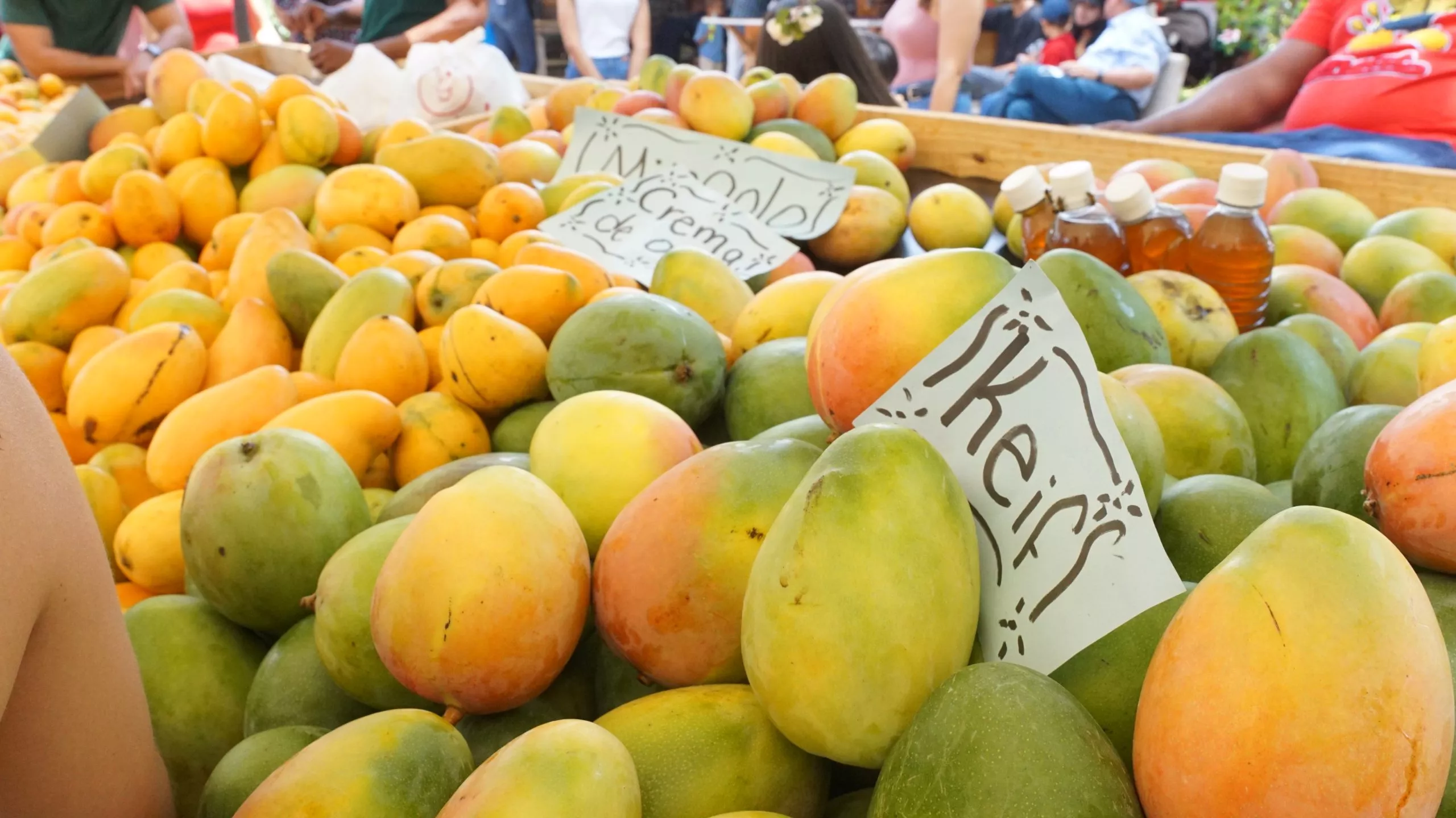 Mango