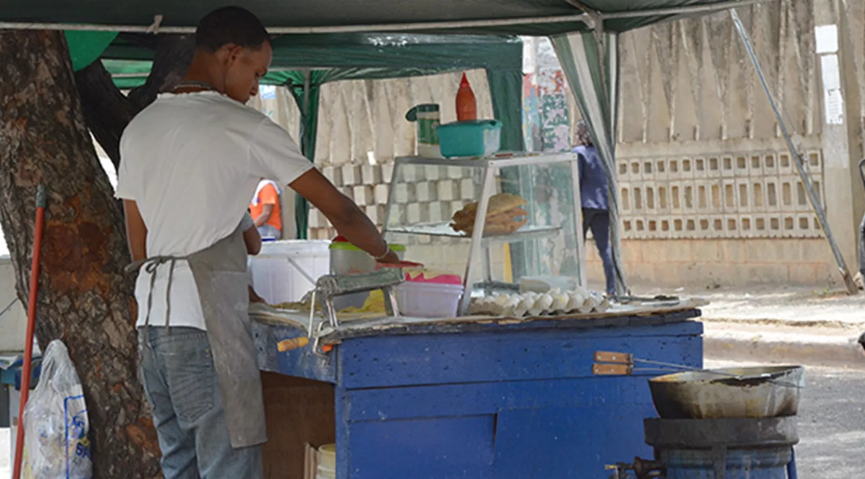 El empleo  informal representa alrededor del 70% de la creación neta de puestos de trabajos en  países de la región.