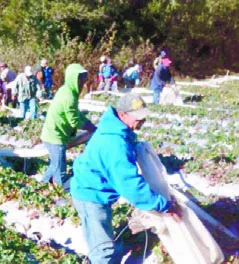 Medio Ambiente desmantela mercado en un parque.