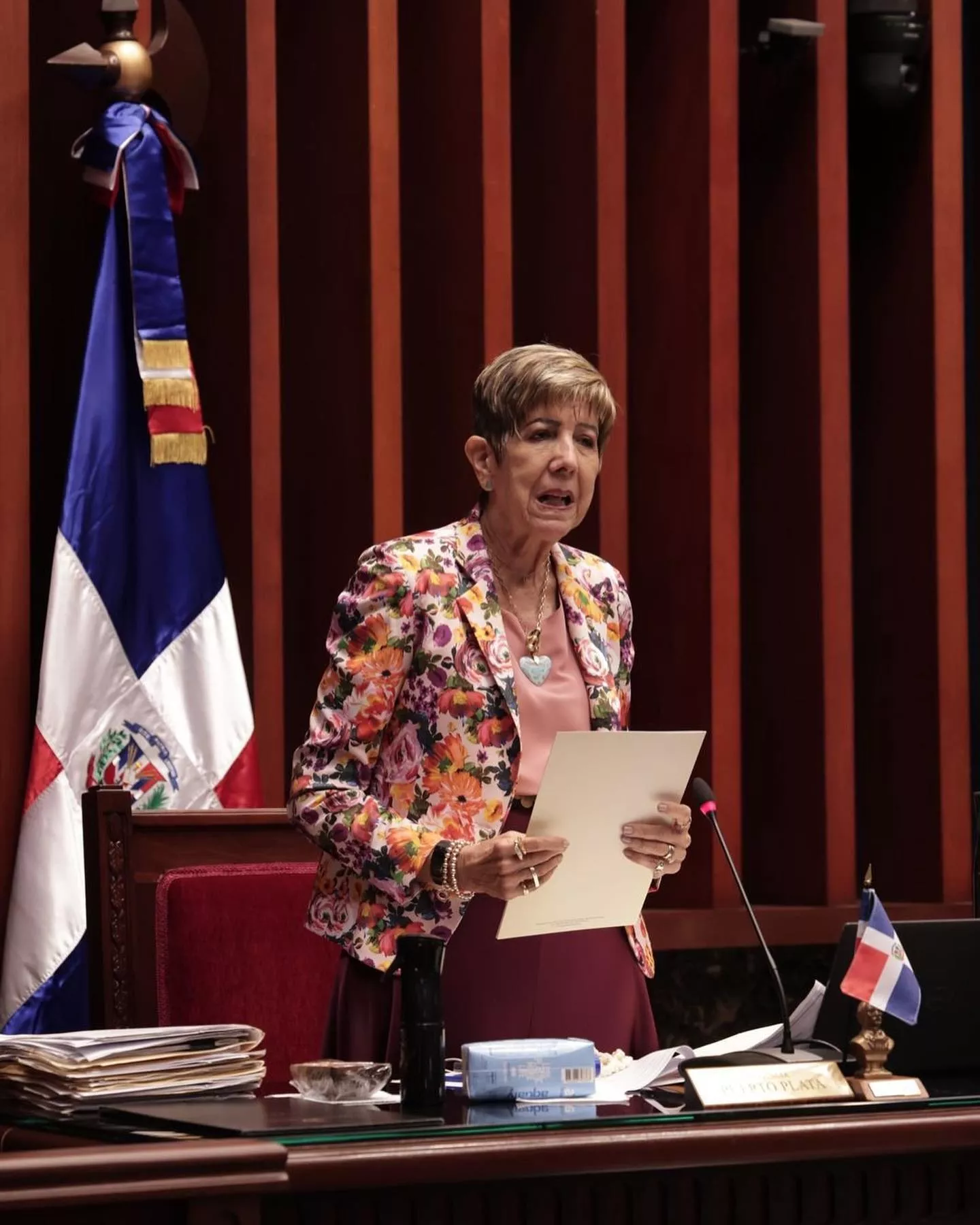SENADORA GINETTE BOURNIGAL