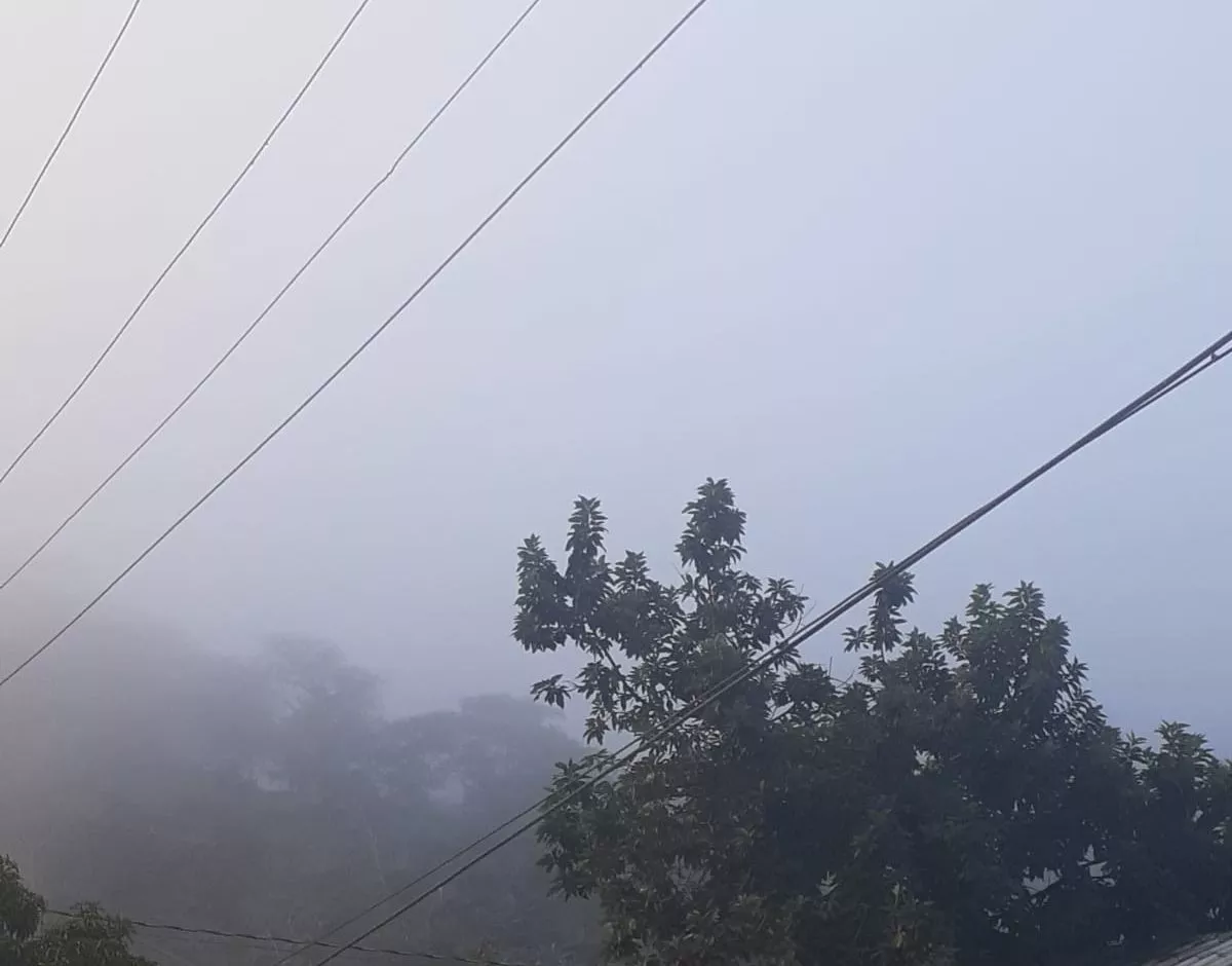WhatsApp Image 2022-12-14 at 7.53.00 AM (2)