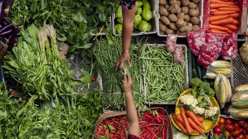 Alimentos