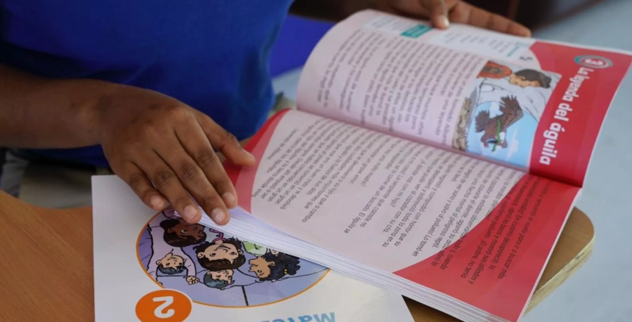 La realidad  con relación a los libros de textos es que cada año los padres tienen que invertir gran cantidad de recursos en libros.  archivo